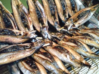 福井県小浜市広峰　朽木屋　浜焼鯖