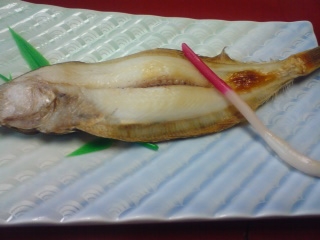 福井県小浜市竜田　まつ治　若狭カレイ