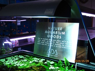 �`�c�`����X