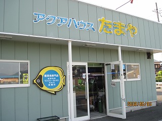 �A�N�A�n�E�X���܂�ւ悤����