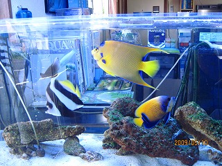 �C�������낢��i��j