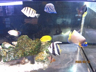 �C�������낢��