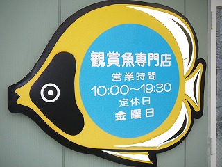 ���l�̊Ϗ܋����X�@���܂�@��x���͋��j��