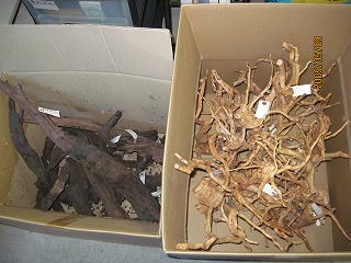 �`�c�`����