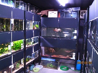 �M�ы��A�W������