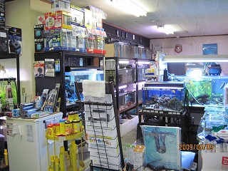 �Ϗ܋��̒m���ɂ͎��M������܂�