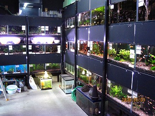 ���ǂ����i��񋟂���悤�S�����Ă���܂��B