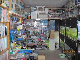 �ዷ���l�̊Ϗ܋����X�@���C����������