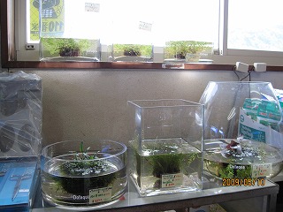 �ǂё����낢��